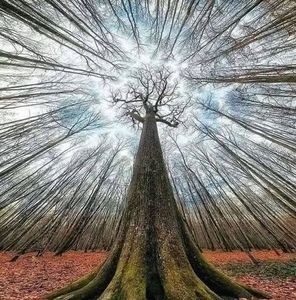 Meet your Posher, Deb